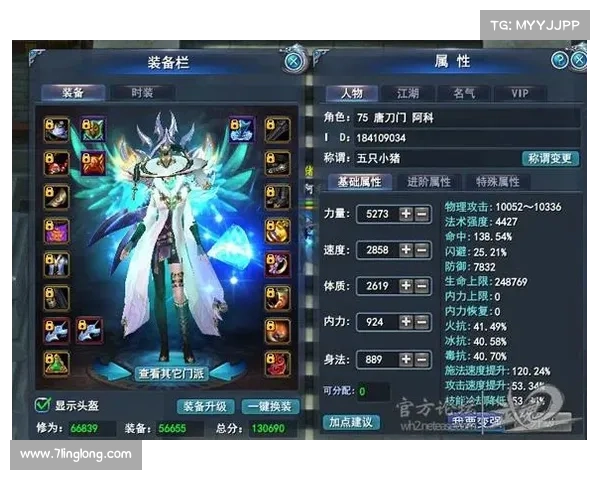 武魂玄冰输出与防御加点全方位制胜策略详解 武魂玄冰输出与防御加点全方位制胜策略详解