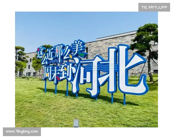 以以然并卵为起点畅游网络语言创意与趣味探索之旅 以以然并卵为起点畅游网络语言创意与趣味探索之旅