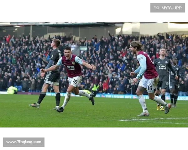 如何理解安联在体育领域中的赞助商作用及其品牌战略意义