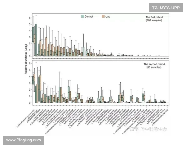 全面深入探讨欧协联决赛规则及其完整流程与关键机制细节深度解析 全面深入探讨欧协联决赛规则及其完整流程与关键机制细节深度解析