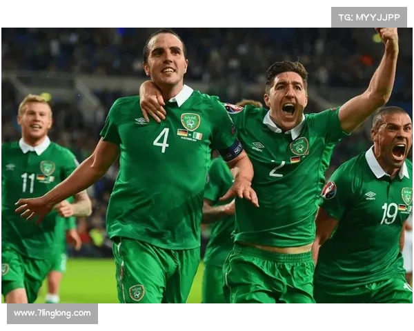 深入探讨葡萄牙国家足球队名称由来与其多元文化背景全方位解析